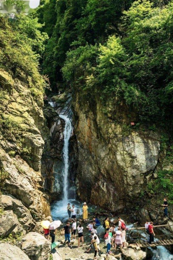 迷失在荒野