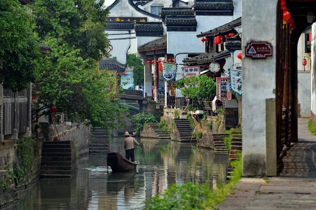 植物大战僵尸4