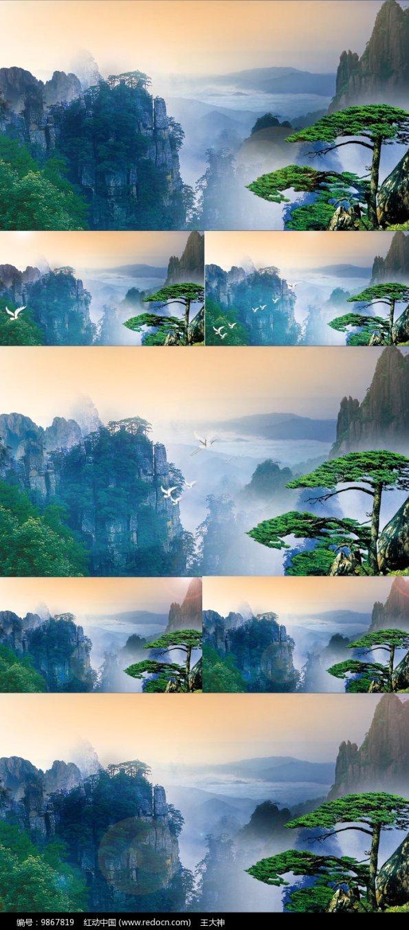 意想不到的旅程
